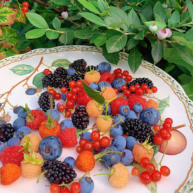 Top Mistakes to Avoid When Using Grow Lights Indoors