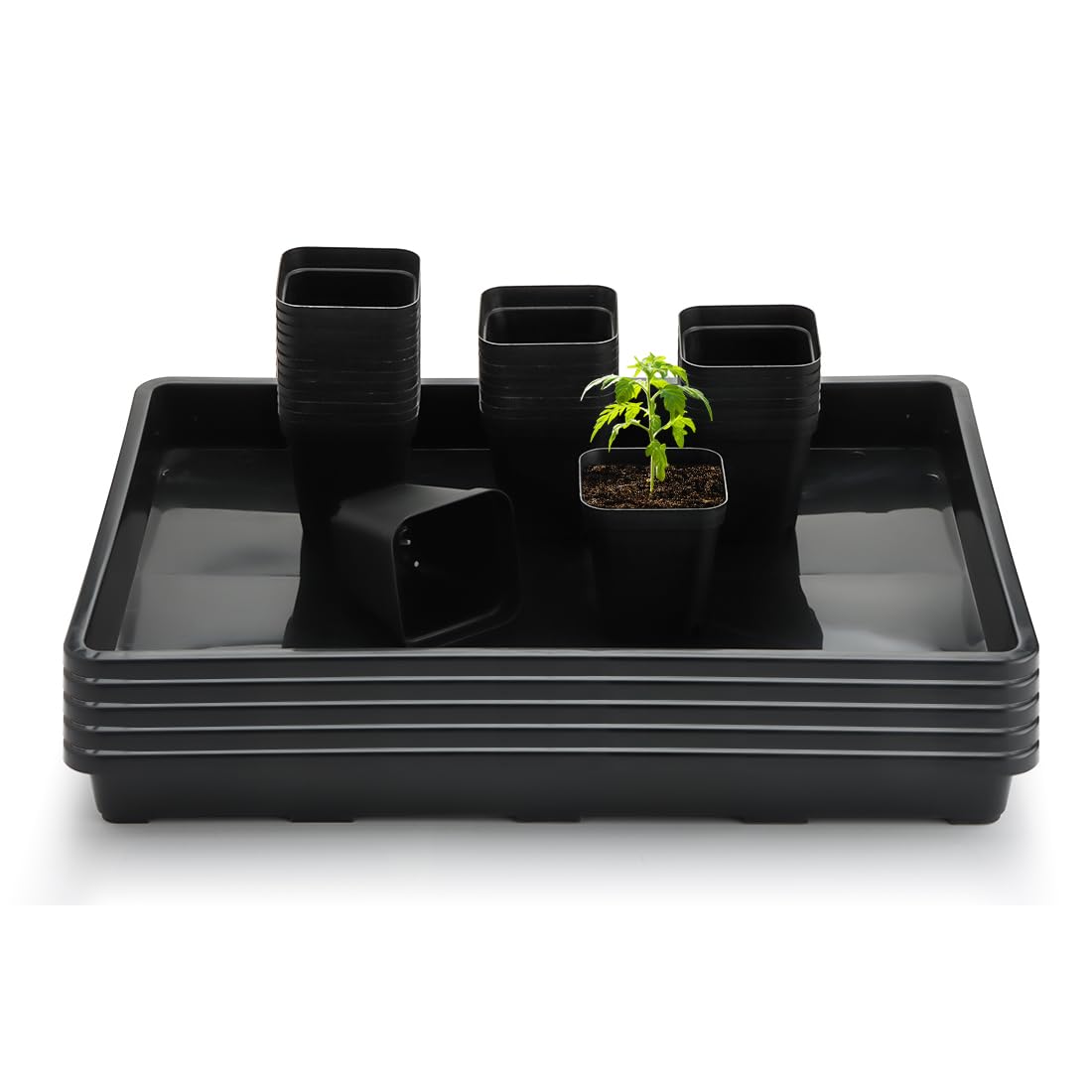 Nursery Pot Trays 5 Pack Plastic Flat Seed Starter Tray
