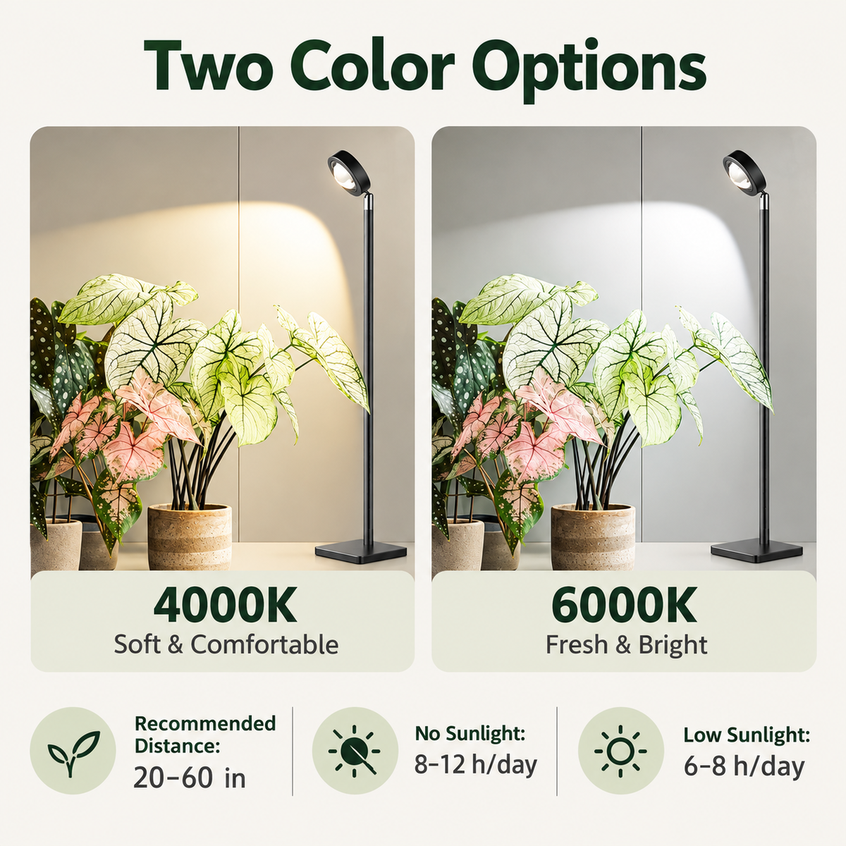 20W Full Spectrum LED Grow Light Sunlight Supplement for Succulents
