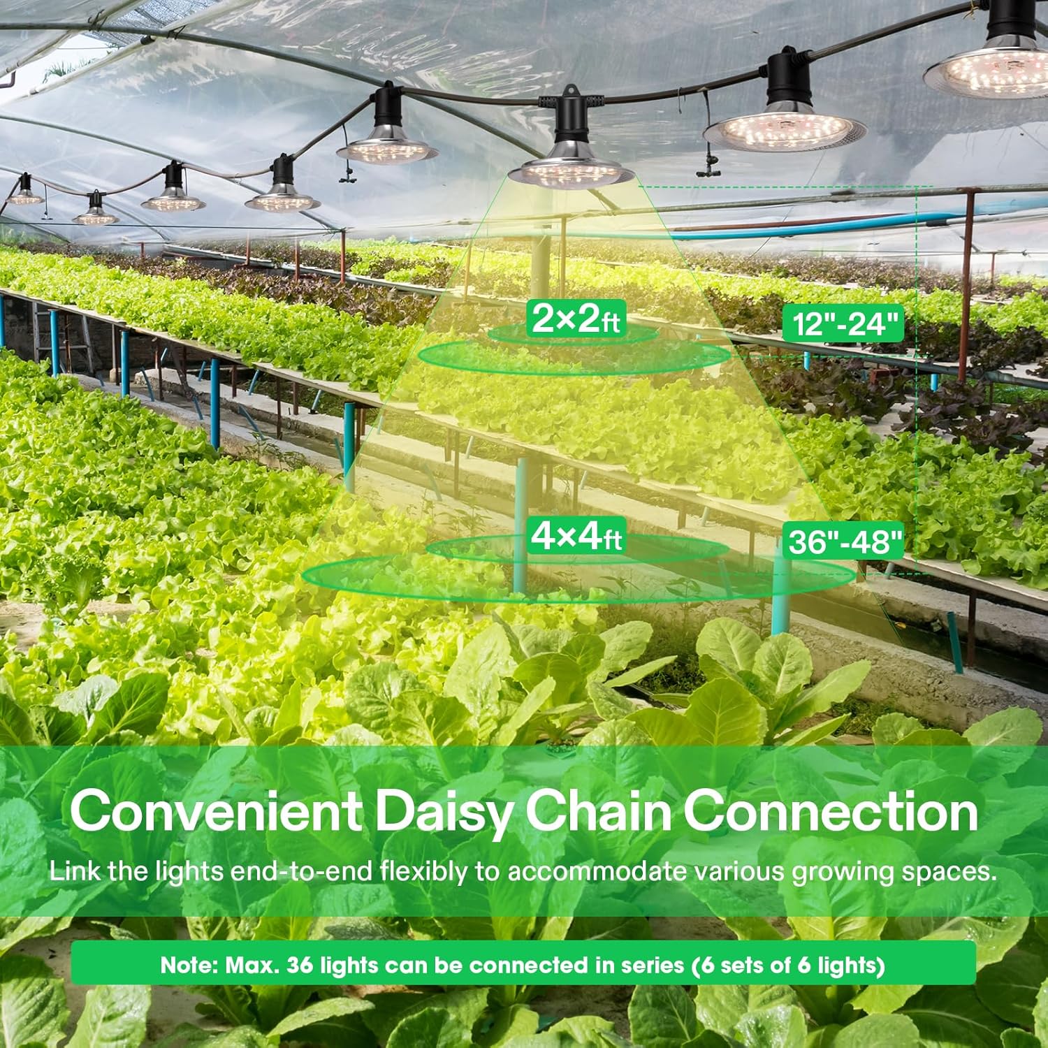 Full Spectrum Plant Growing Lights with 44Ft Adjustable Cord for Seedling