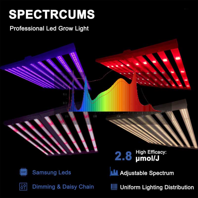 PPFD 2800 Umol/S Led Grow Lights 1000W Yields up to 4Lb For Green House