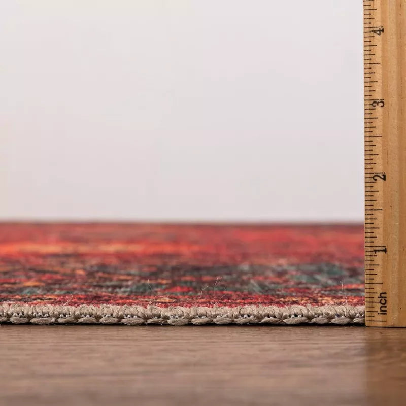 5x7 Machine Washable Area Rug with Non-Slip Backing Ideal for Living Room