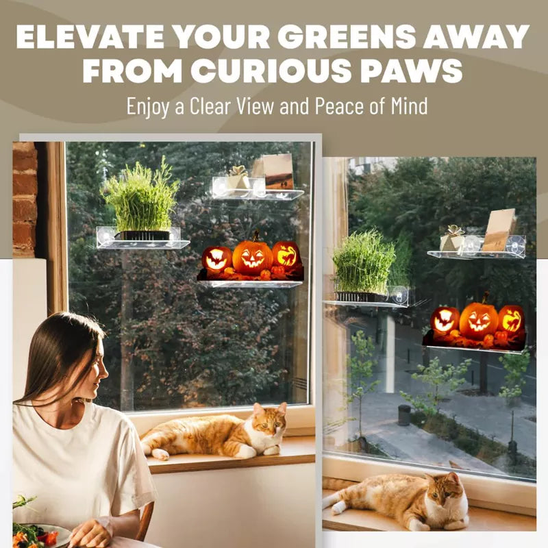 Slide-Proof 3 Pack Suction Cup Window Shelves for Plants