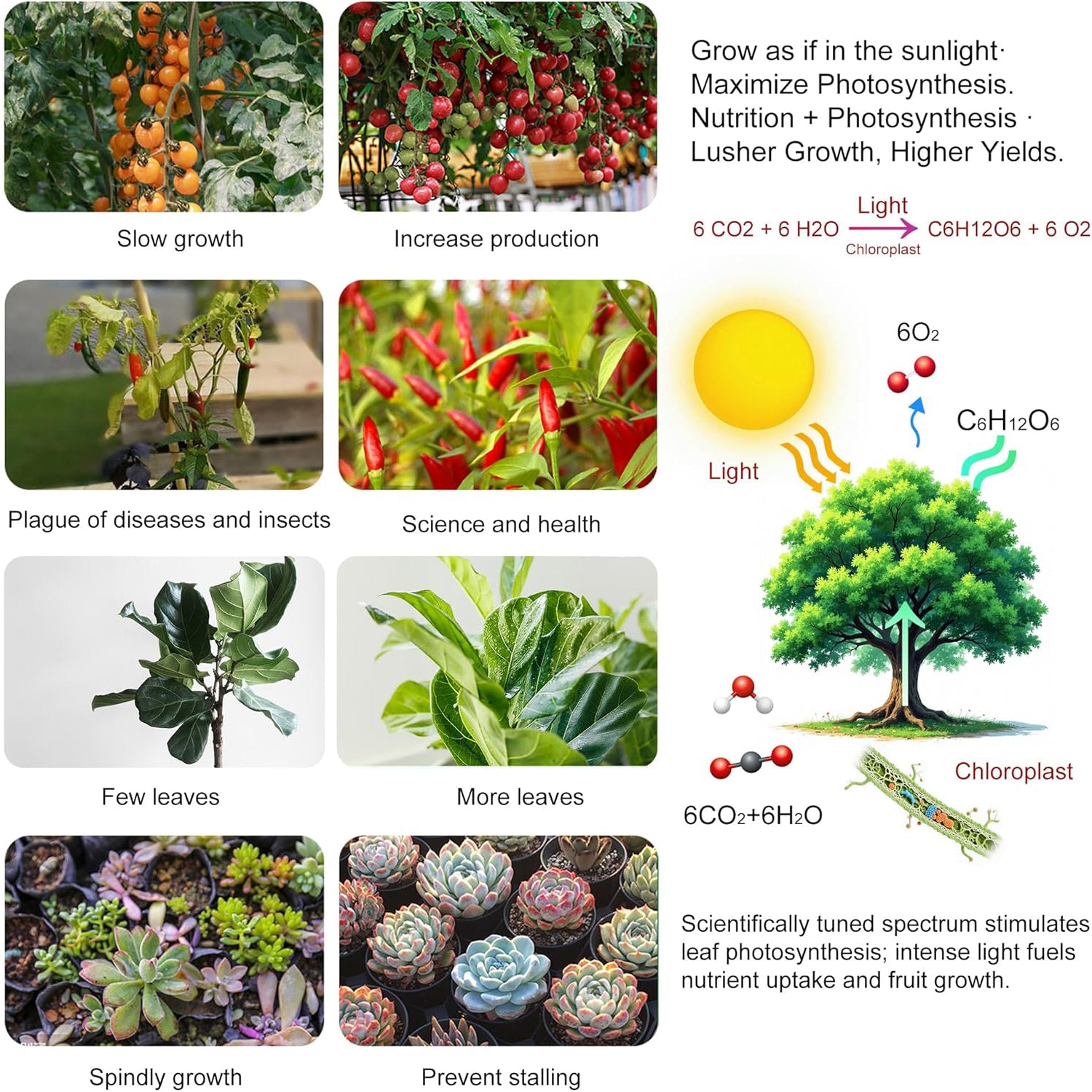 2 Pack LED Grow Light Panel 200W Lamp for Indoor Plants