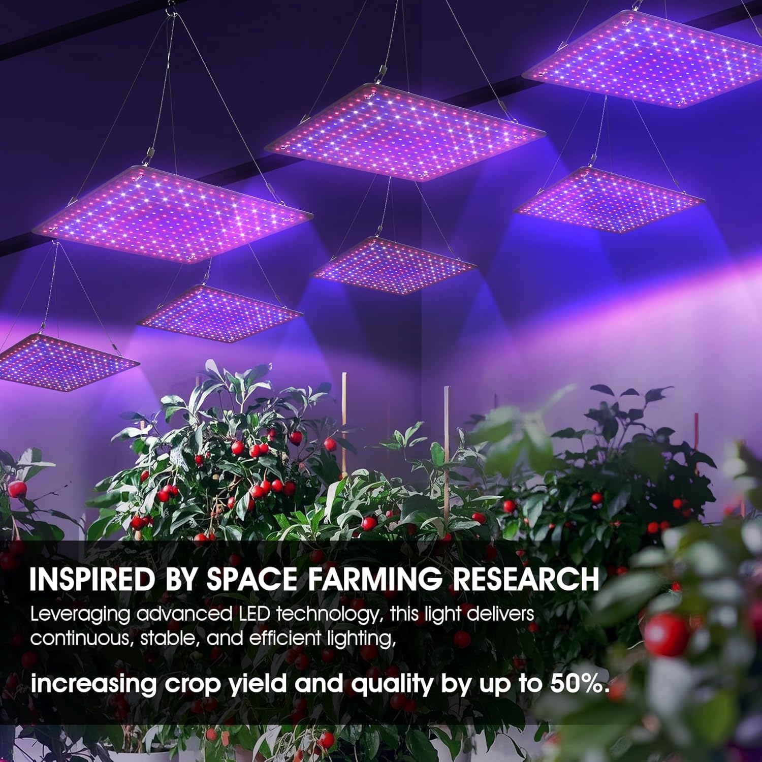 2 Pack LED Grow Light Panel 200W Lamp for Indoor Plants