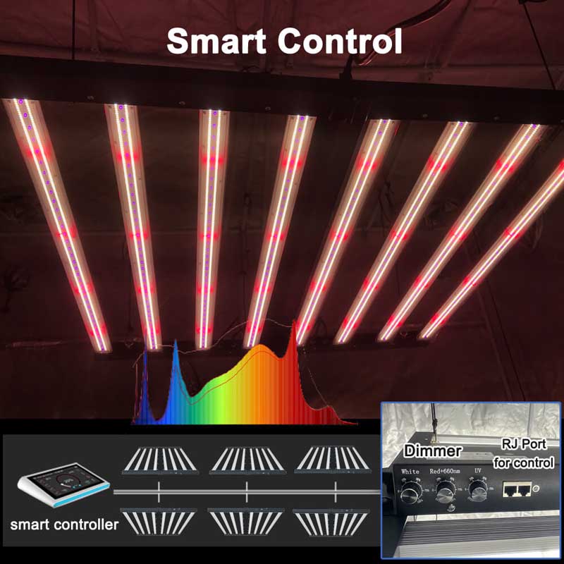 PPFD 2800 Umol/S Led Grow Lights 1000W Yields up to 4Lb For Green House