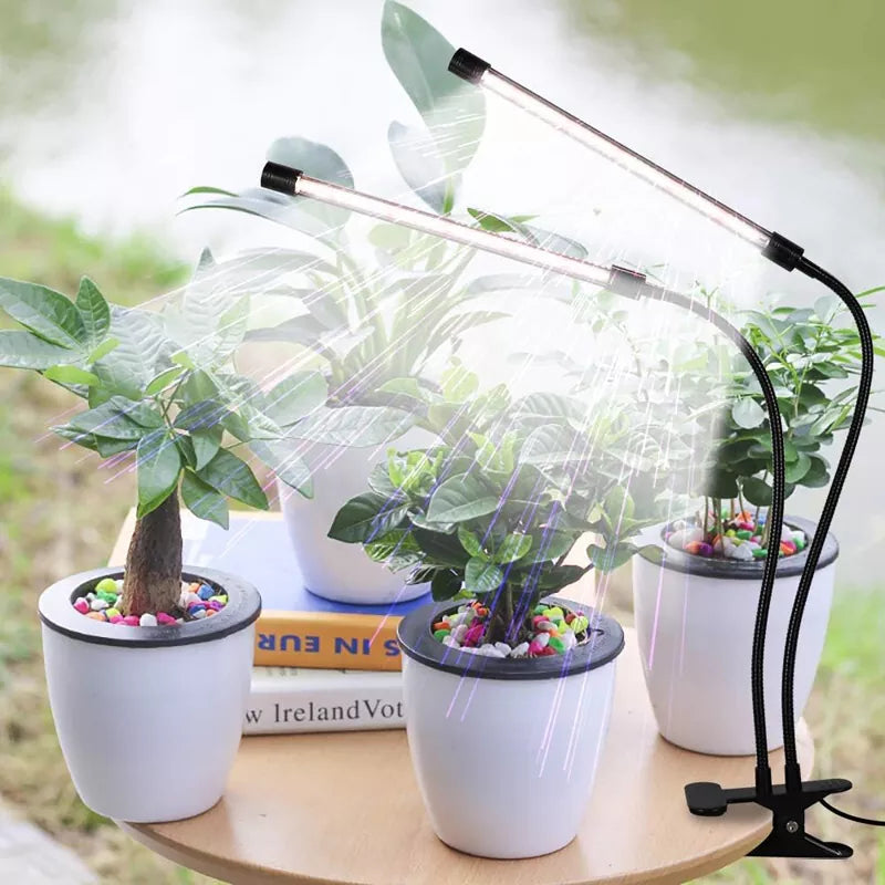 6000K Full Spectrum Clip Plant Growing Lamp with White Red LEDs for Indoor Plants