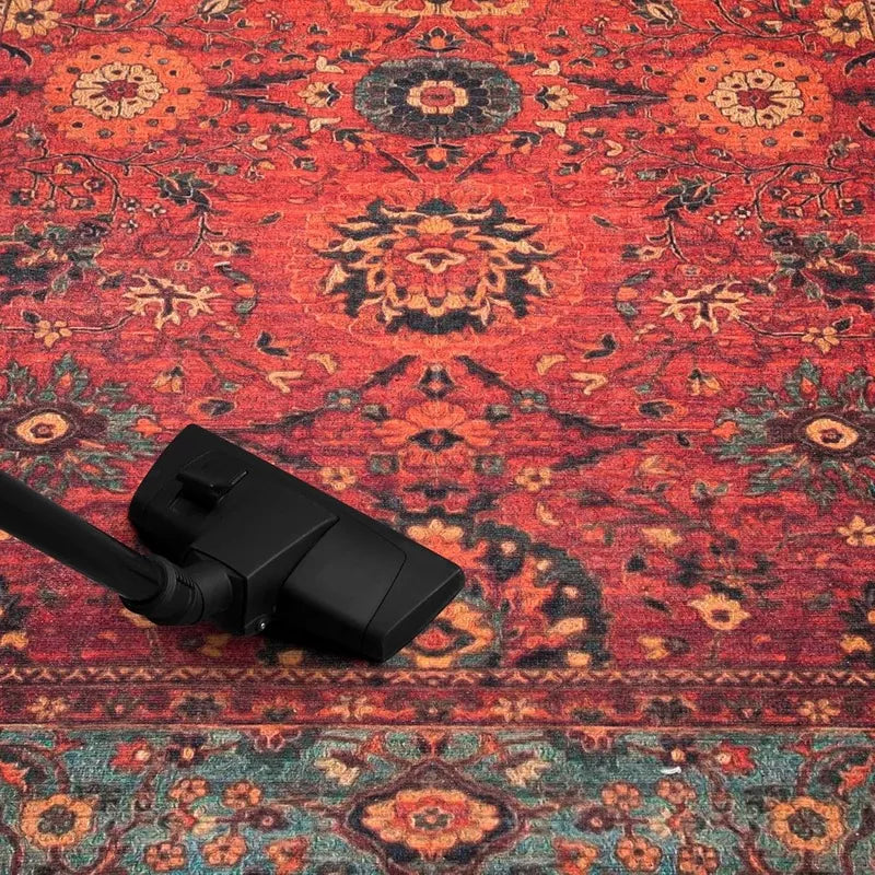 5x7 Machine Washable Area Rug with Non-Slip Backing Ideal for Living Room