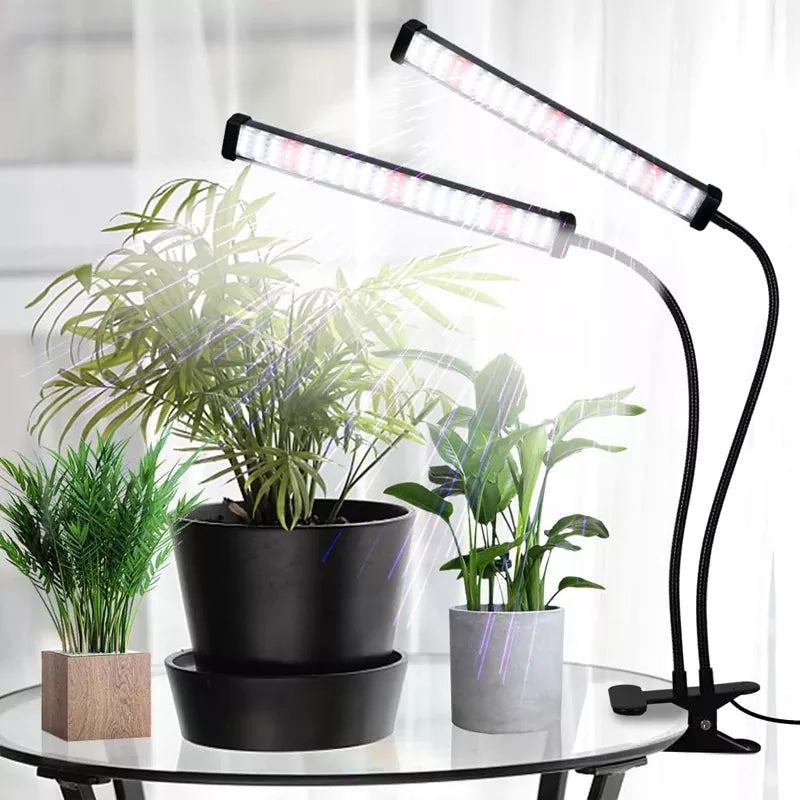 6000K Full Spectrum Clip Plant Growing Lamp with White Red LEDs for Indoor Plants