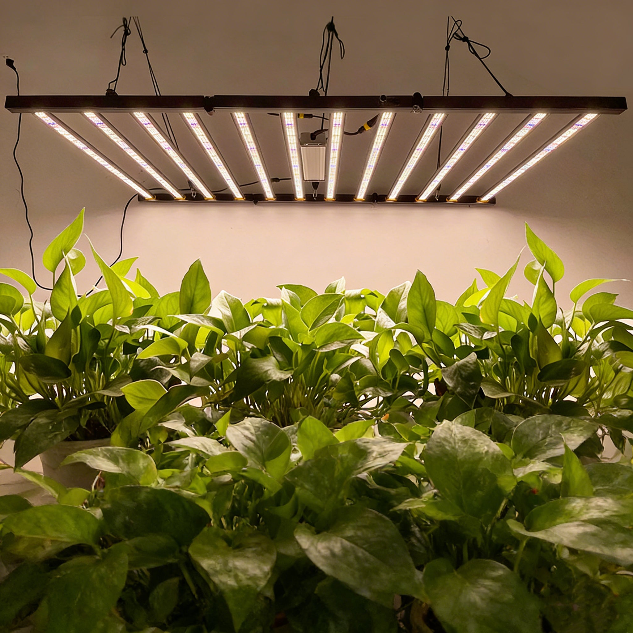 Greenhouse Full-spectrum Plant Grow Light Indoor 1200W