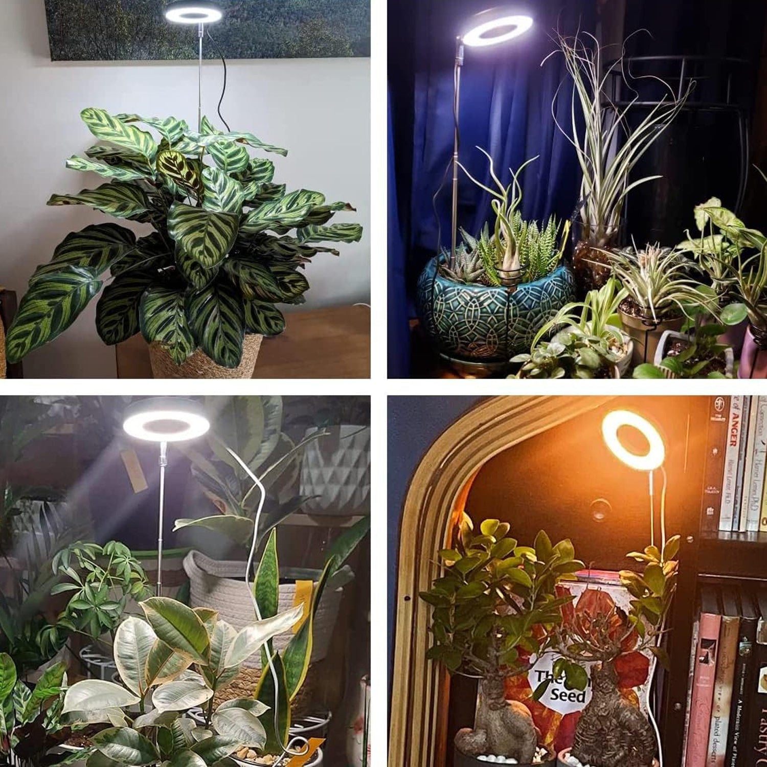 48LEDs Full Spectrum Grow Lights for Indoor Plants