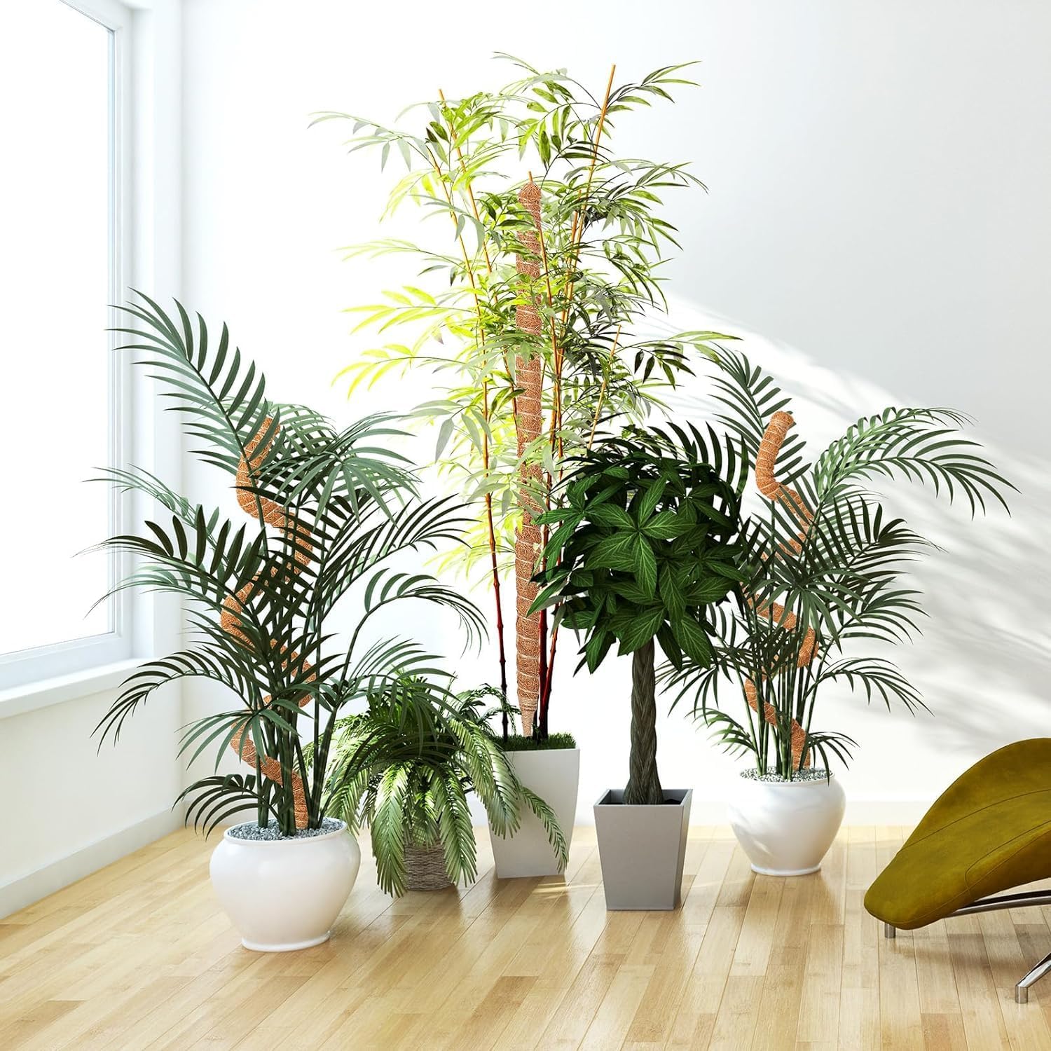 Bendable plant moss pole - ktvhomes