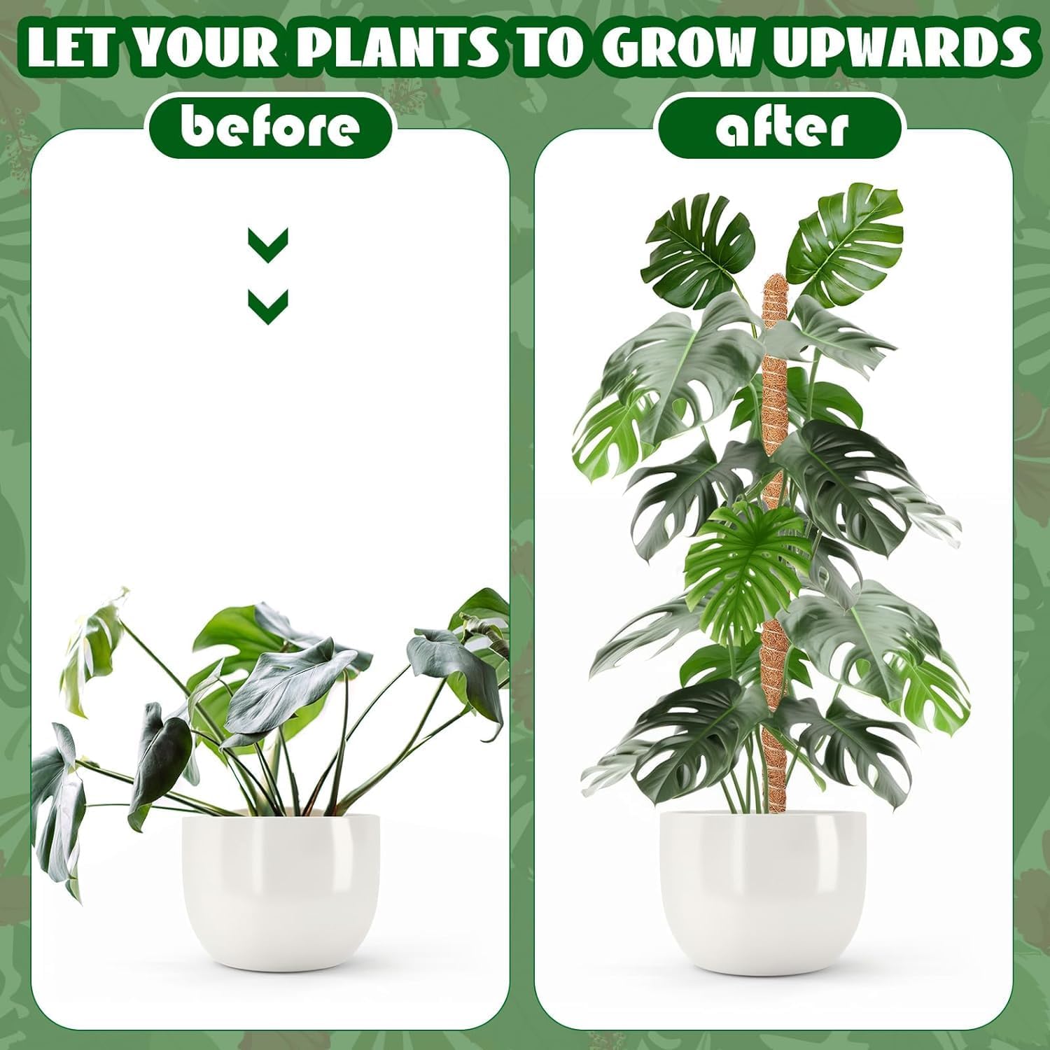 Bendable plant moss pole - ktvhomes