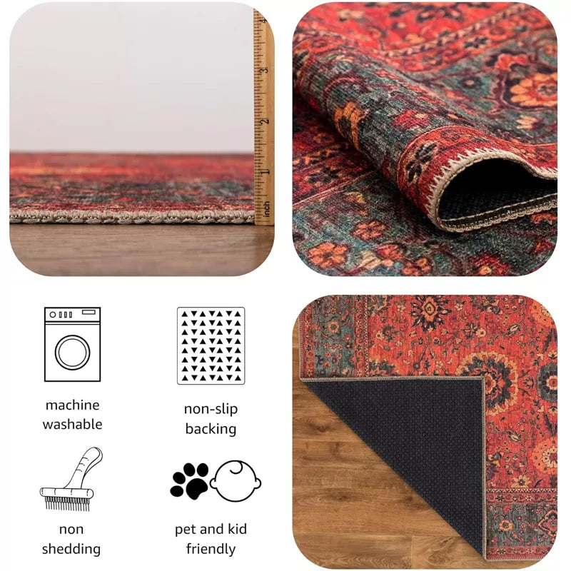 5x7 Machine Washable Area Rug with Non-Slip Backing Ideal for Living Room