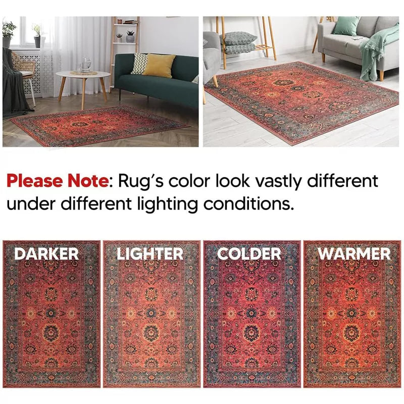 5x7 Machine Washable Area Rug with Non-Slip Backing Ideal for Living Room