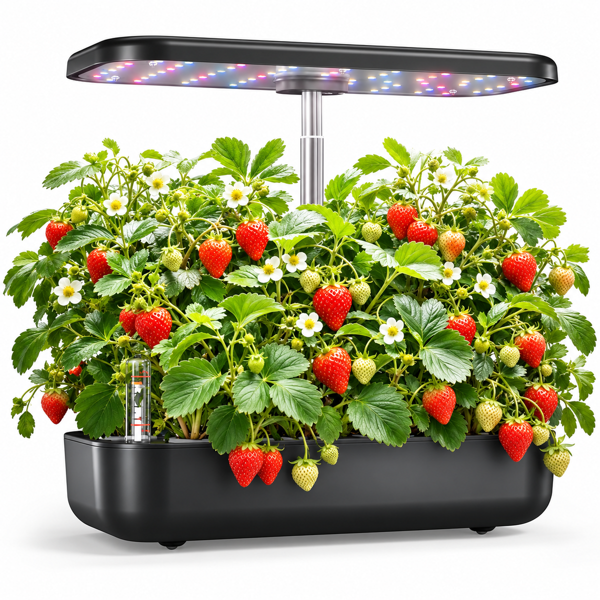 Hydroponics Growing System Kit 12 Pods with 24W LED Grow Light