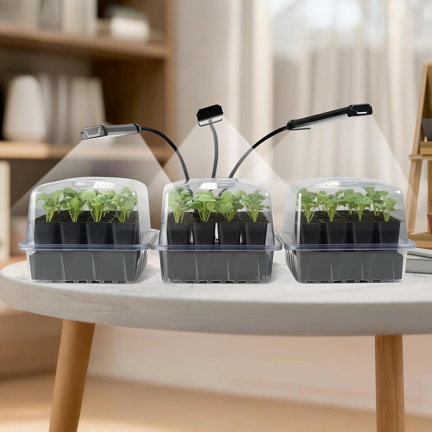 72 Cell Self Watering 3 Seed Starter Trays with Grow Light with Humidity Domes