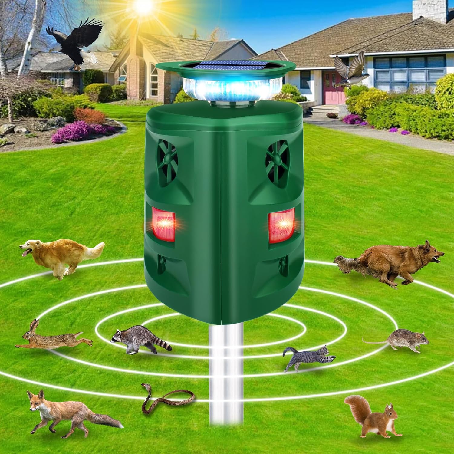 Solar Animal Repeller - ktvhomes