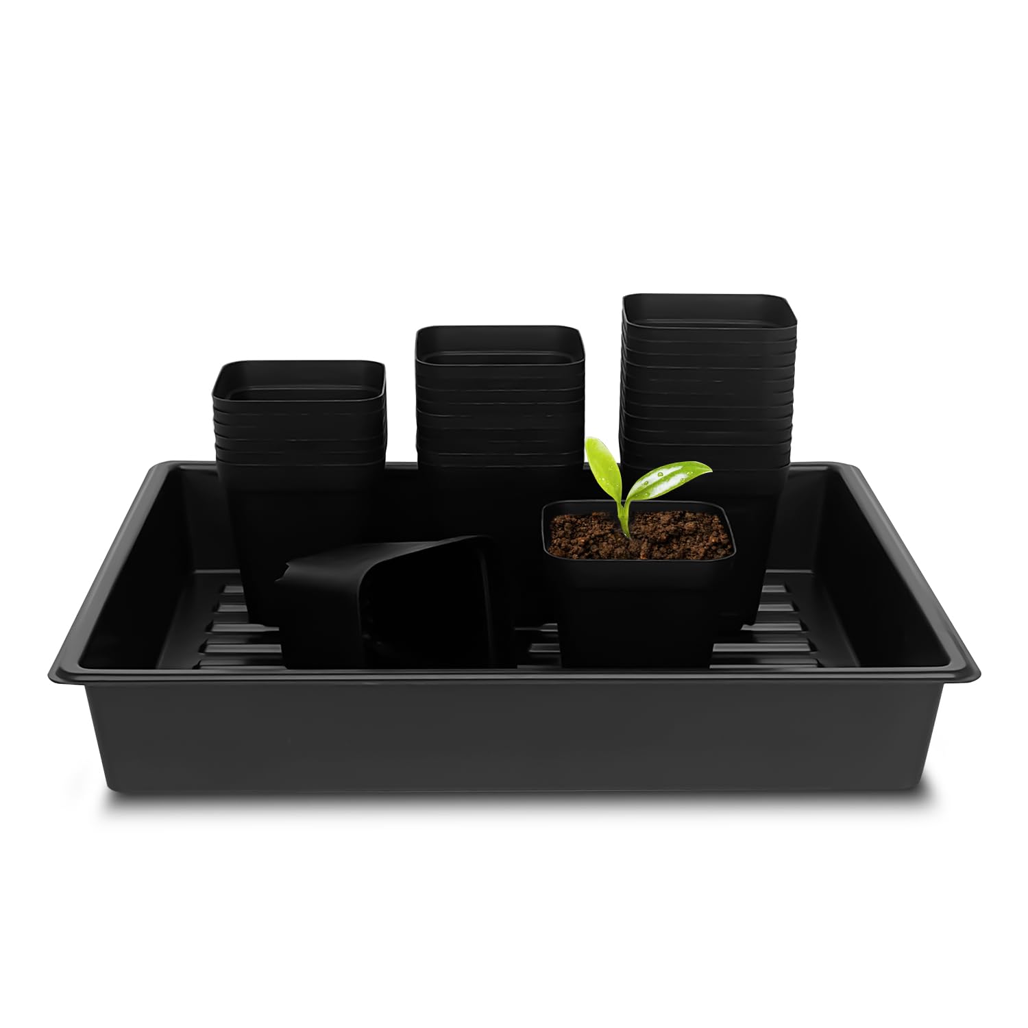 4 Inch (10CM) Square Nursery Pots 60pcs Sturdy Seedlings Trays 5 Pcs