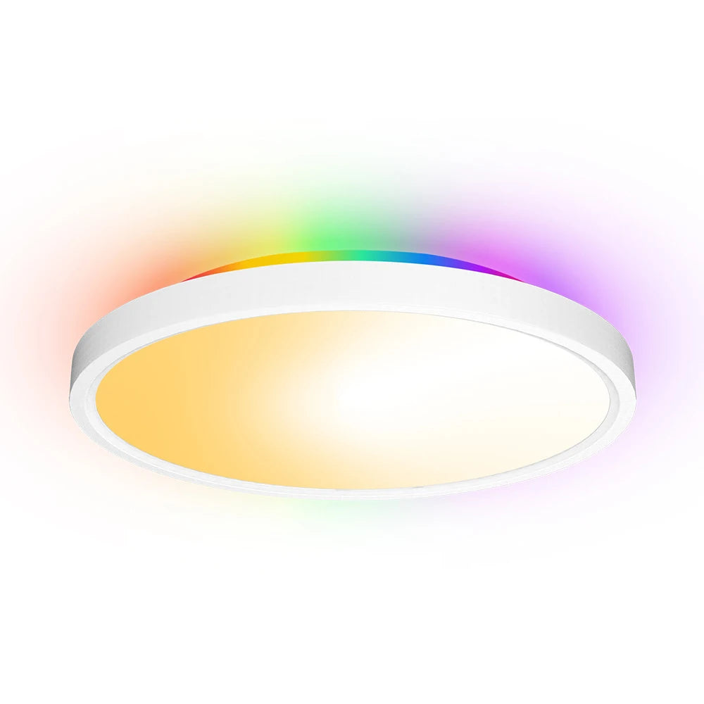 LED Ceiling Light 30W Round Flat Panel Light WiFi RGBIC/CCT/RGB 2700K-6500K
