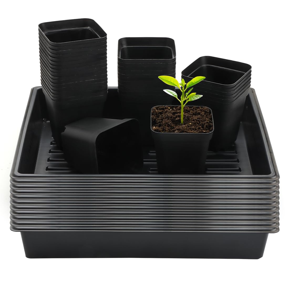4 Inch Square Nursery Pots 120pcs 10 Pcs Seeds Starter Germination Tray