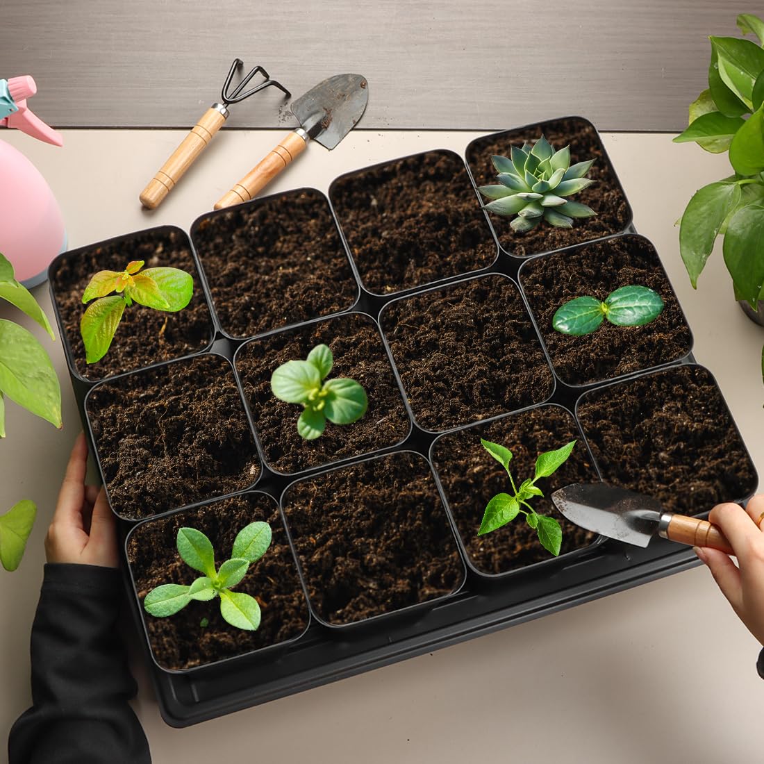 4 Inch Square Nursery Pots 120pcs 10 Pcs Seeds Starter Germination Tray
