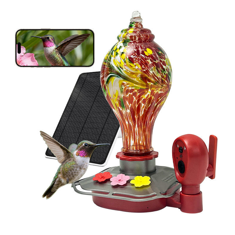 Solar Glass Hummingbird Feeder With Camera AI Waterproof -B2
