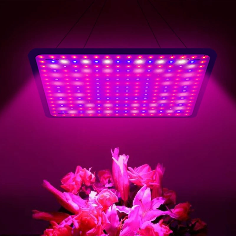 LED Grow Lights