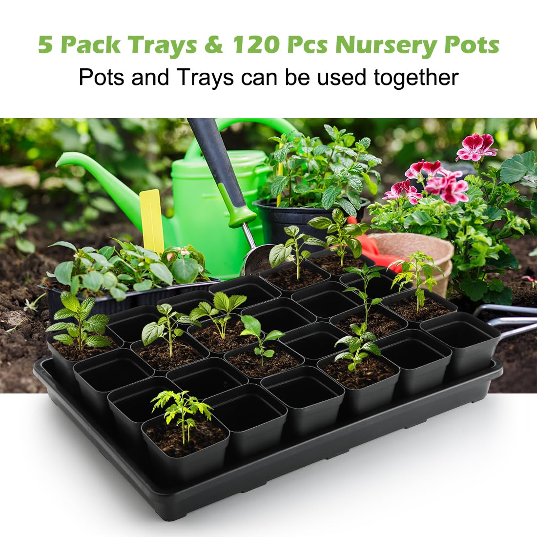 Nursery Pot Trays 5 Pack Plastic Flat Seed Starter Tray