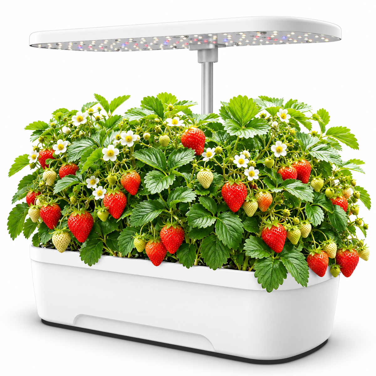 Hydroponics Growing System Kit 12 Pods with 24W LED Grow Light