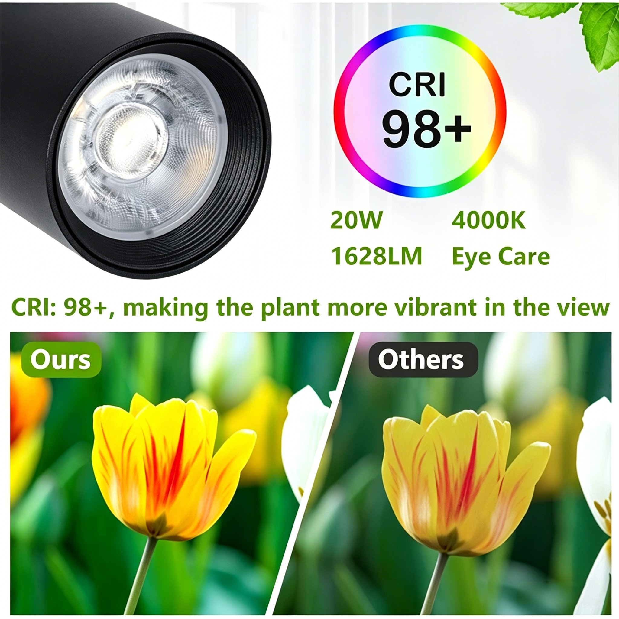 Led Growth Floor Lamp for Large Plant Seedling(6 Level Height)