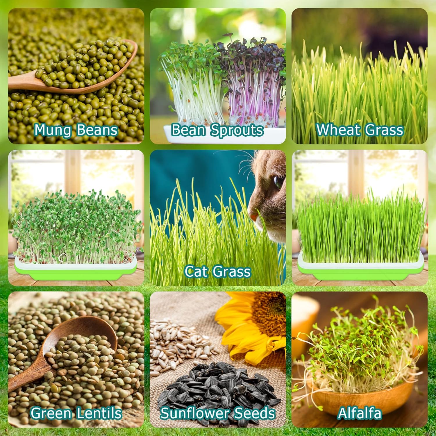 10 Pack Green Seed Sprouter Trays- Soil-Free Cultivation Germination Tray
