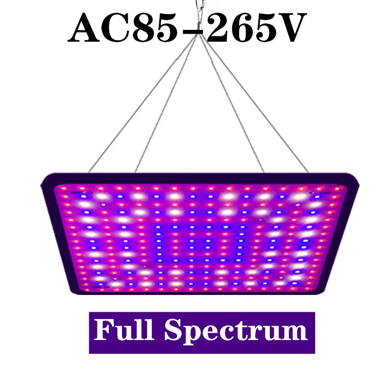 LED Grow Lights