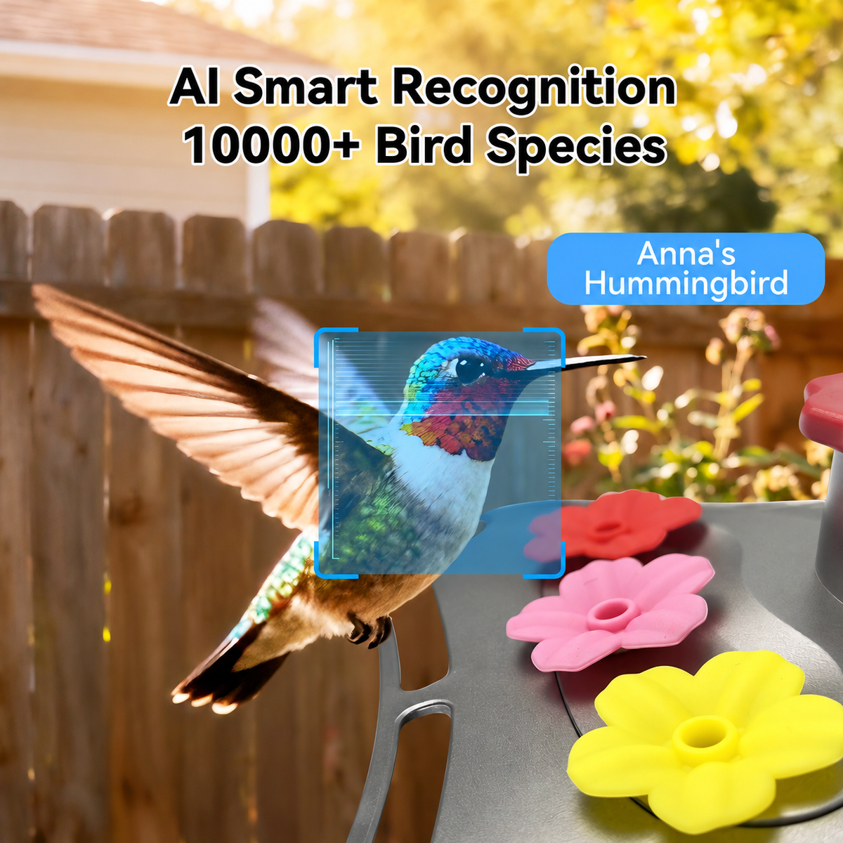Solar Glass Hummingbird Feeder With Camera AI Waterproof -B2