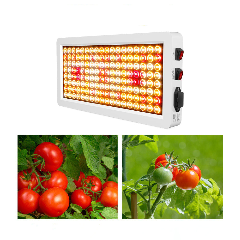 1000 LED Grow Lights with Yield LEDs 2x2ft for Indoor Hydroponic Seeds Plants